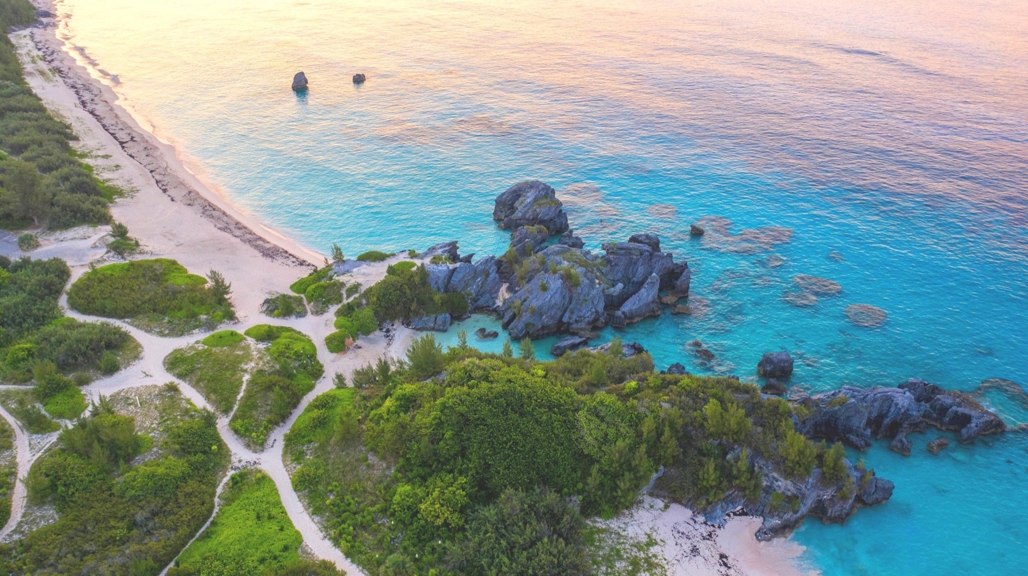 Aerial of Horseshoe Bay Bermuda at golden hour, pink sand cove and turquoise water